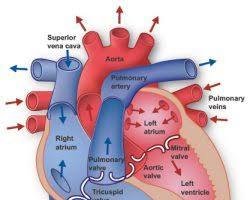 images (2)